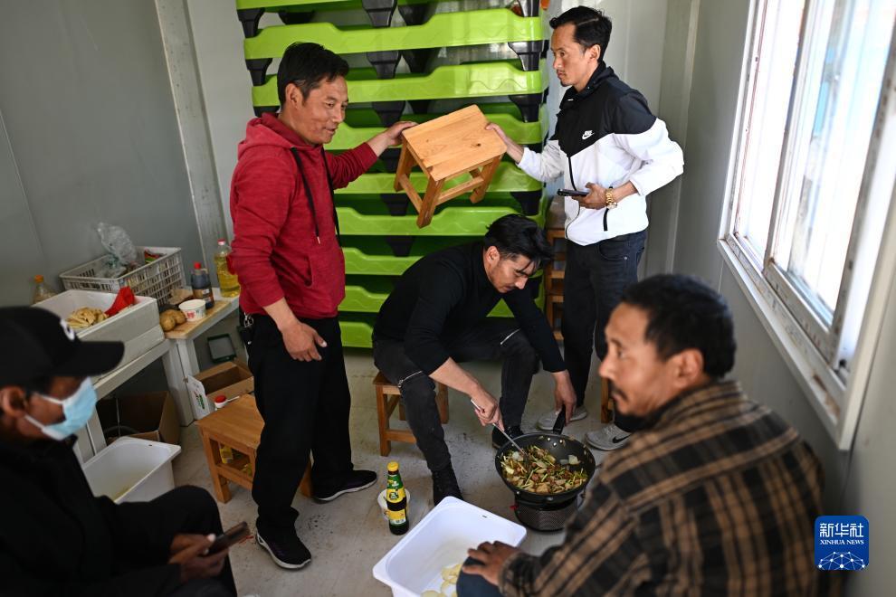 新浦萄京棋牌